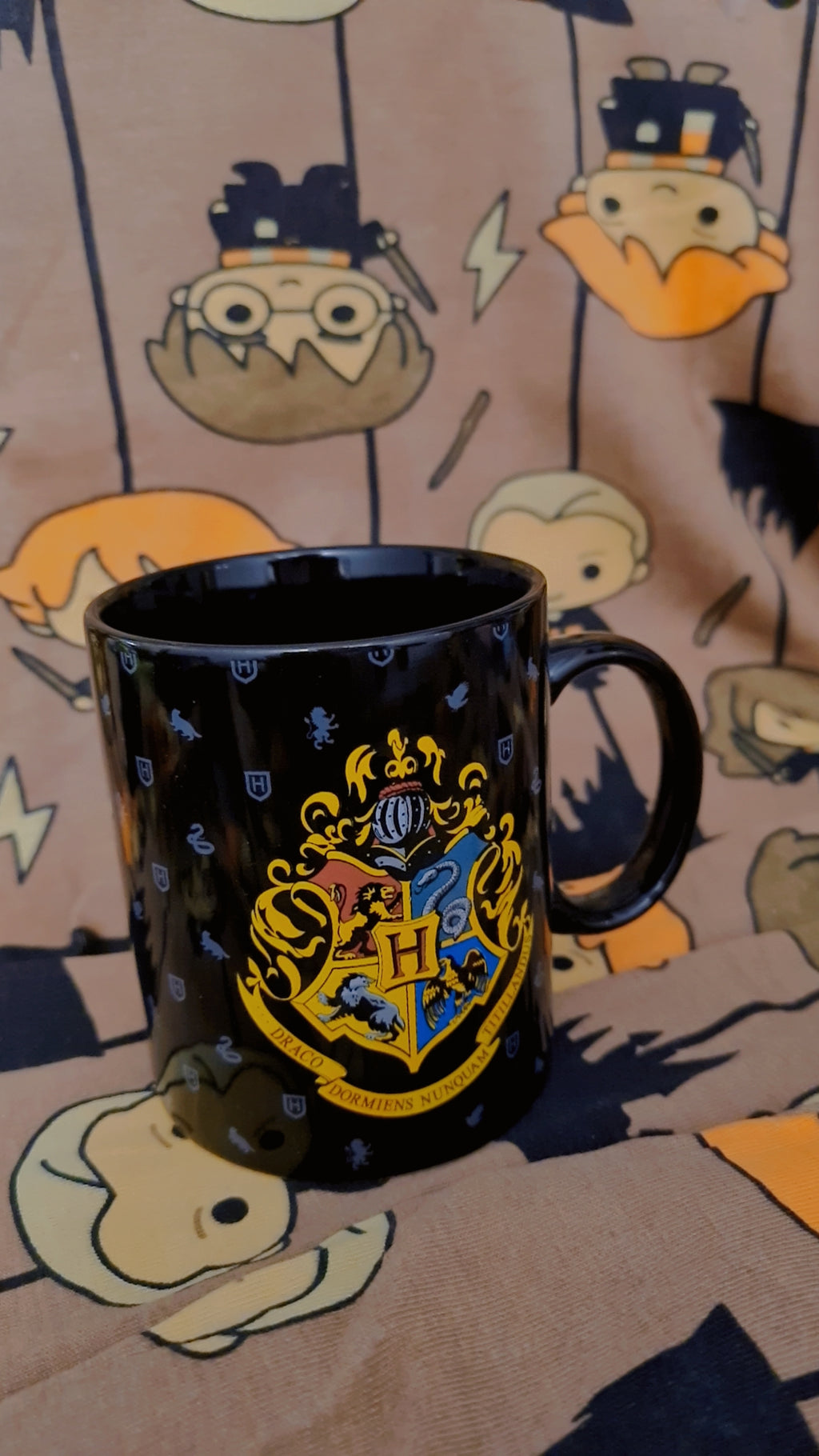 Harry Potter 🪄✨️